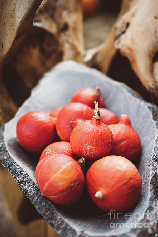 Red Pumpkins In Rustic Stone Bowl. Photograph