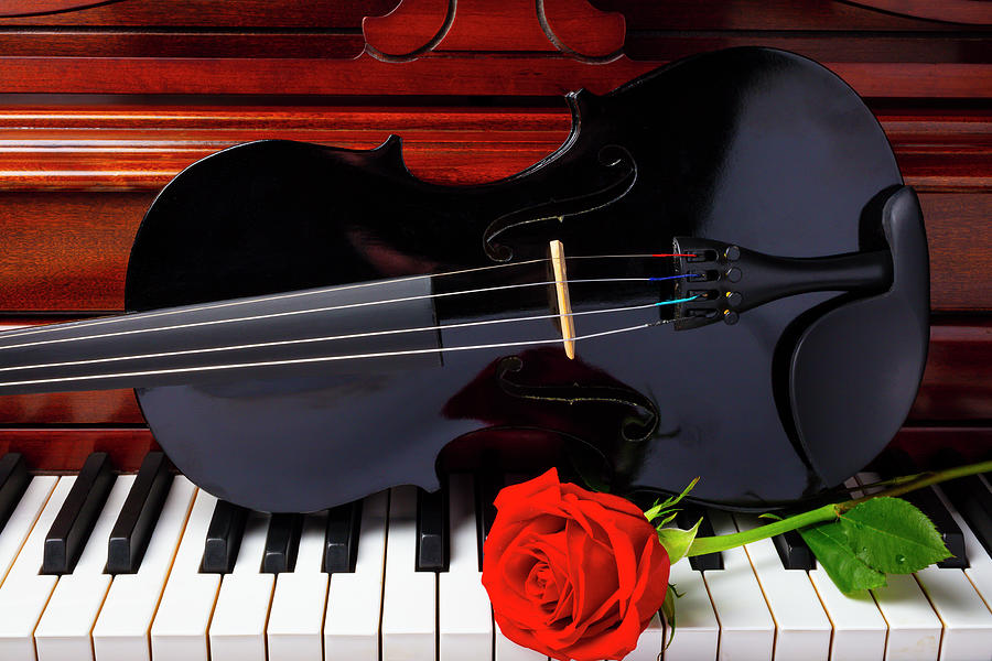 Red Rose And Black Violin Photograph by Garry Gay - Fine Art America