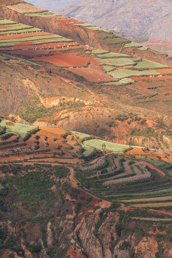 Red soil farmlands in Dongchuan district #1 Photograph by MOAimage