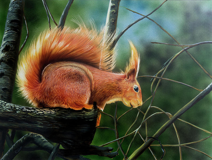 Red Squirrel Painting - Red Squirrel #1 by Raymond Ore