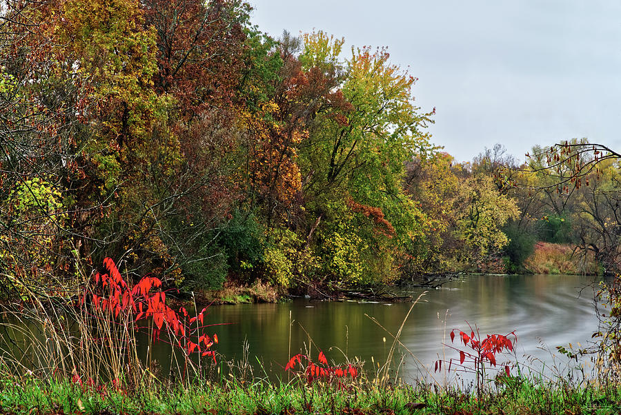Red Sumac at the Bend of The Yahara Photograph by Peter Herman