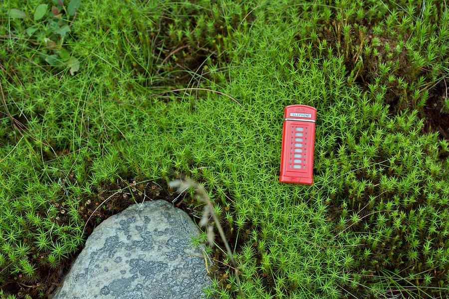 Red telephone box in the moss #1 Photograph by Kelifamily