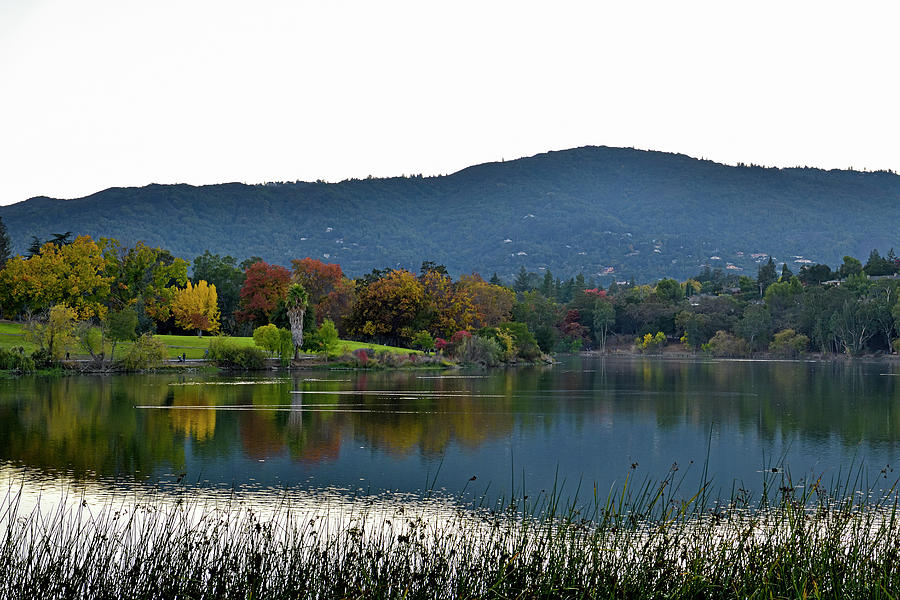 Reflection in Vasona Lake Photograph by Amazing Action Photo Video