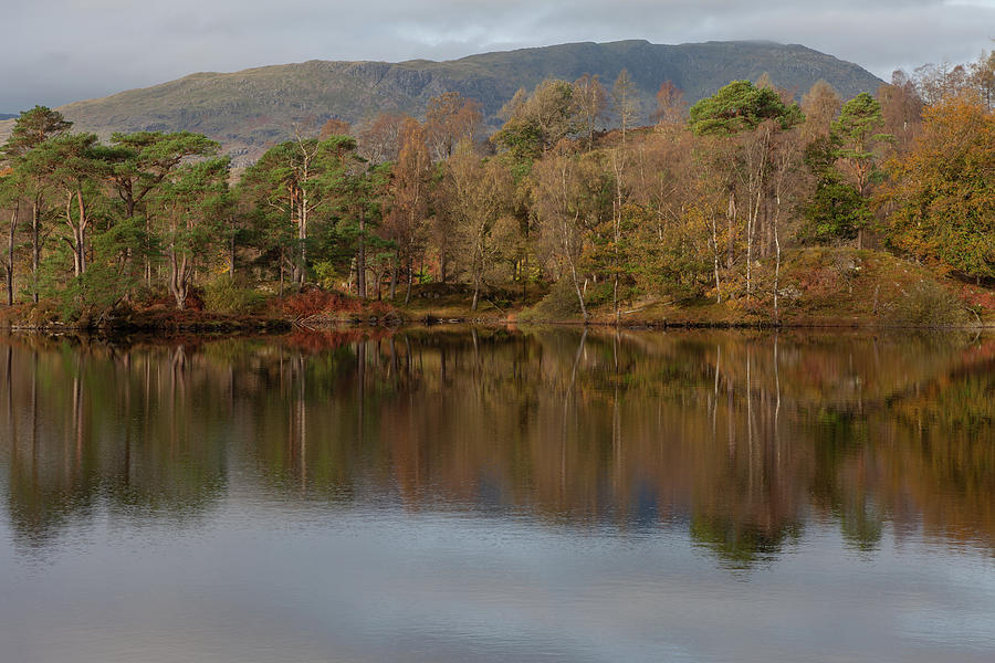 Reflections, Tarn Hows #1 Photograph by Nick Atkin