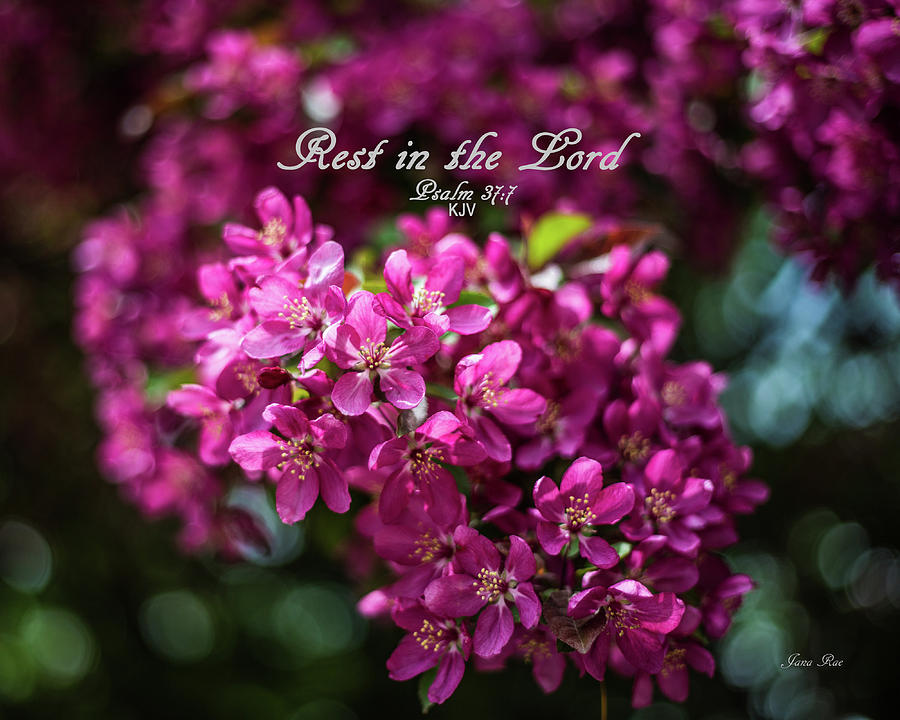 Rest in the Lord #1 Photograph by Jana Rosenkranz