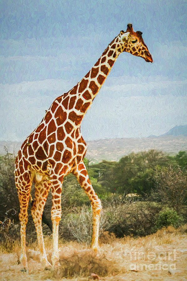 Reticulated Giraffe #1 Digital Art by Liz Leyden