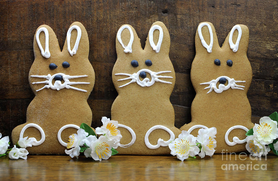 Retro  Easter bunny rabbit gingerbread cookies #1 Photograph by Milleflore Images