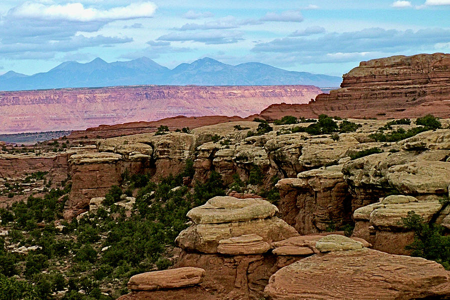 Return Trail to Elephant Hill, Needles District, CanyonlandsNational Park, Utah  #1 Photograph by Ruth Hager