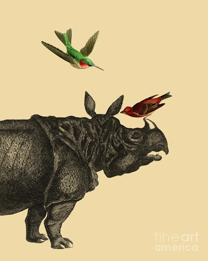 Bird Digital Art - Rhino With Birds #1 by Madame Memento