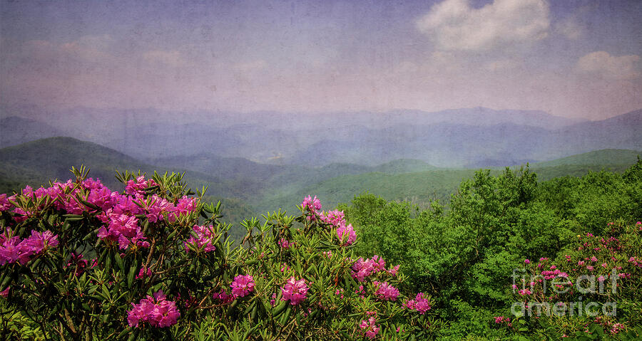 Panoramic View of Blue Ridge Mountains Photograph by Shelia Hunt