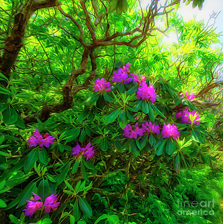 Rhododendrons in Spring I Digital Art by Shelia Hunt