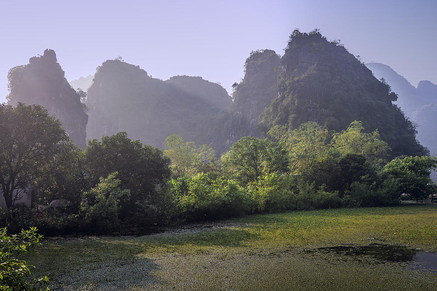 Rice fields and the karst rocks of Ninh Binh #1 Photograph by Bernd Schunack