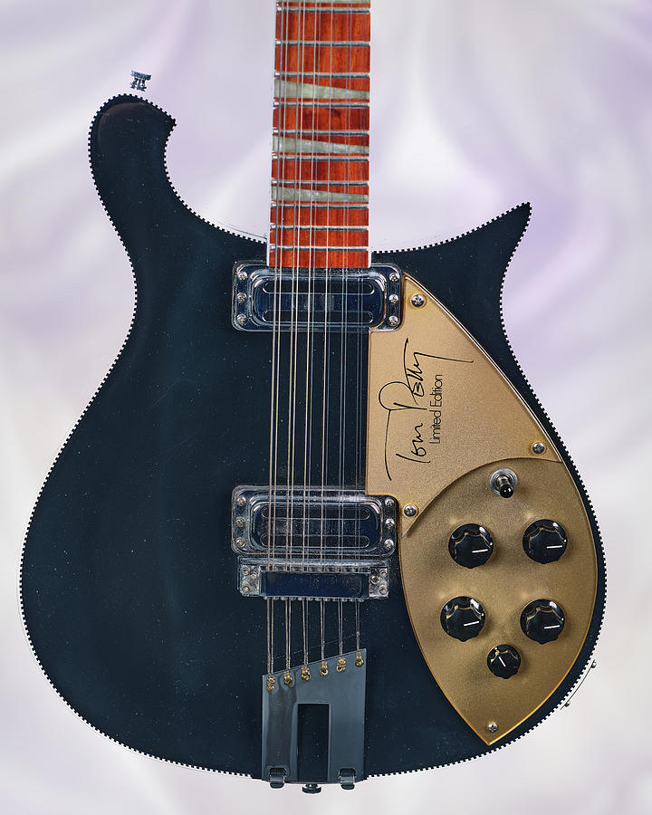 rickenbacker 12 string copy
