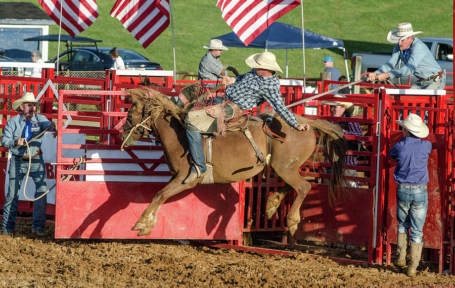 Ride Em  Cowboy #1 Photograph by Jim Cook
