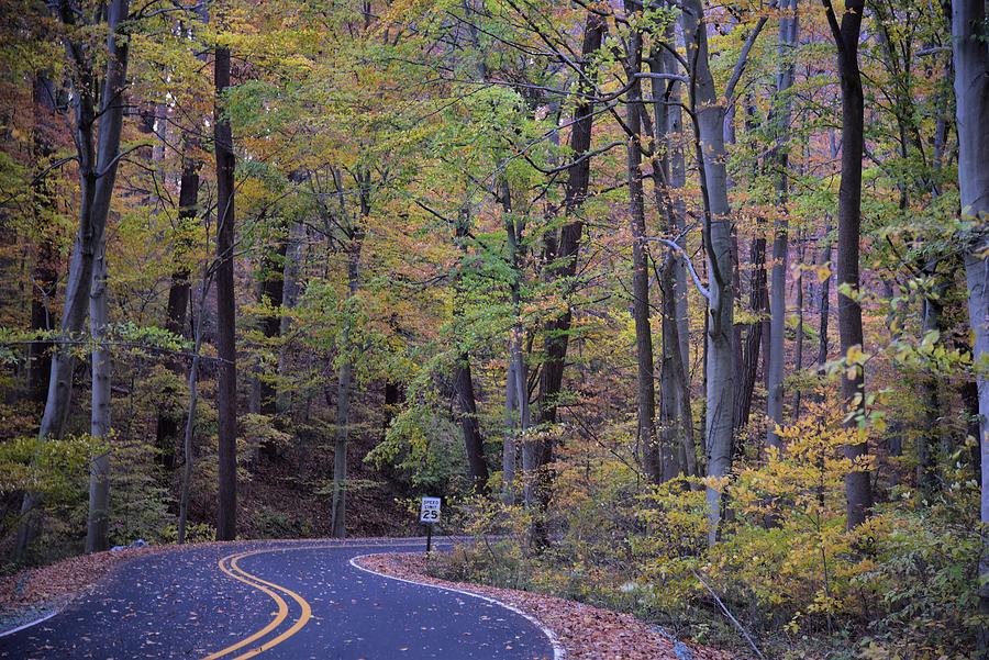 Ridley Creek State Park Photograph by Joe Walmsley - Fine Art America