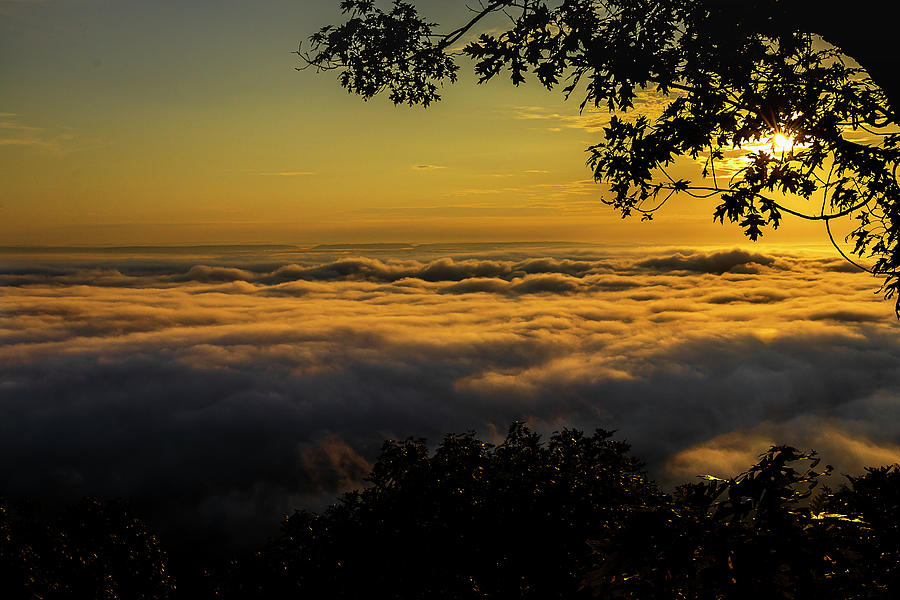 Rise Above Photograph by Jason Walthall - Fine Art America