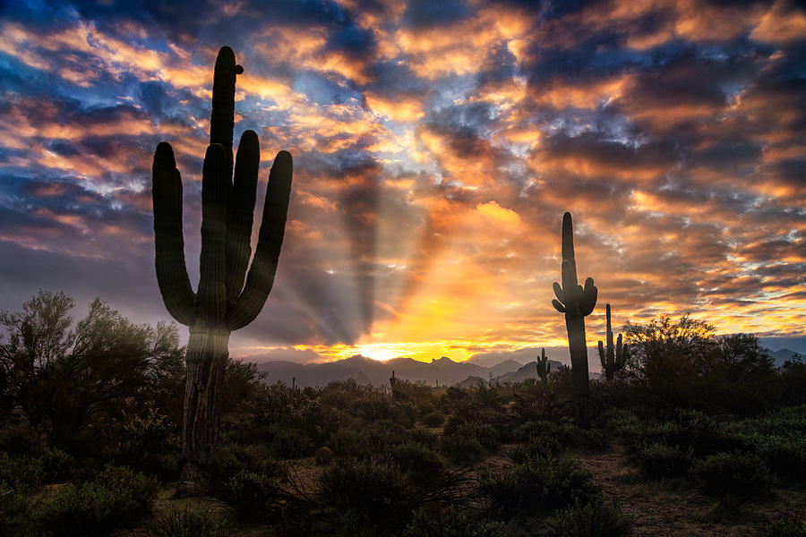 Rise And Shine Arizona  #1 Photograph by Saija Lehtonen