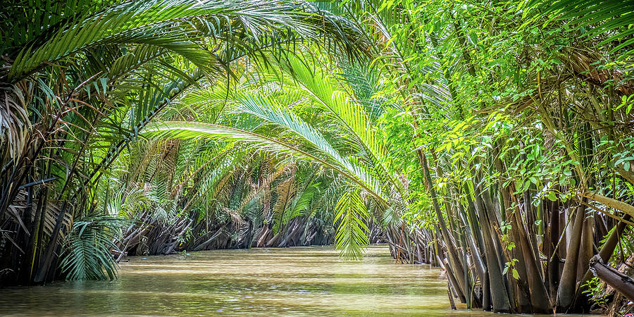 Jungle Photograph - River In Vietnam #1 by Marla Brown