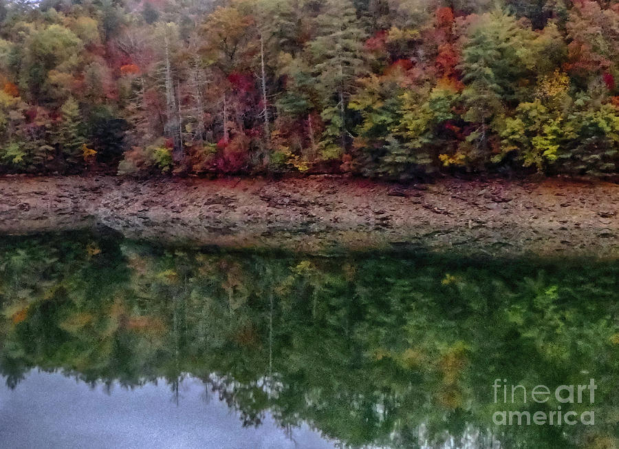 River Reflections #1 Photograph by Judy Hall-Folde