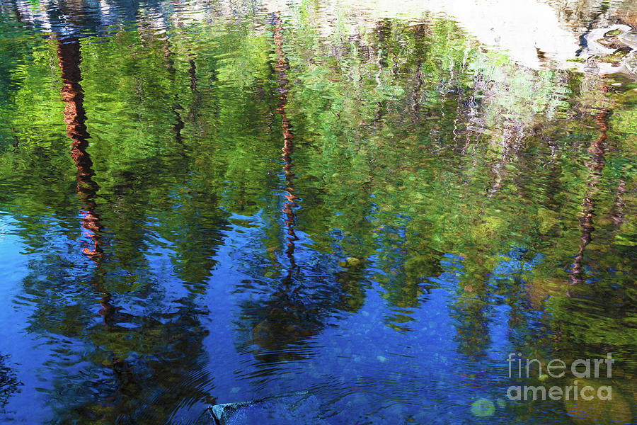 River Reflections Photograph