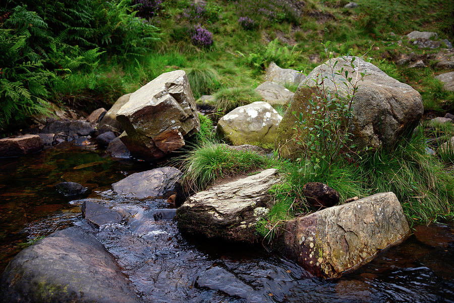 River Rocks #1 Photograph by Svetlana Sewell