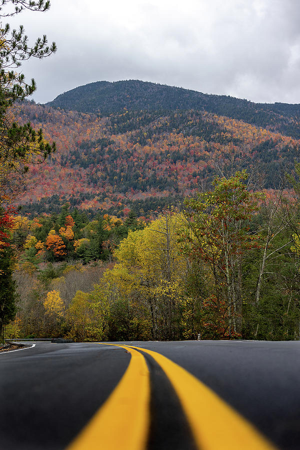 Road through the Adirondacks #1 Photograph by Dave Niedbala