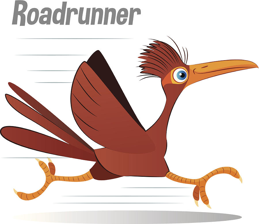 Roadrunner #1 Drawing by Drmakkoy