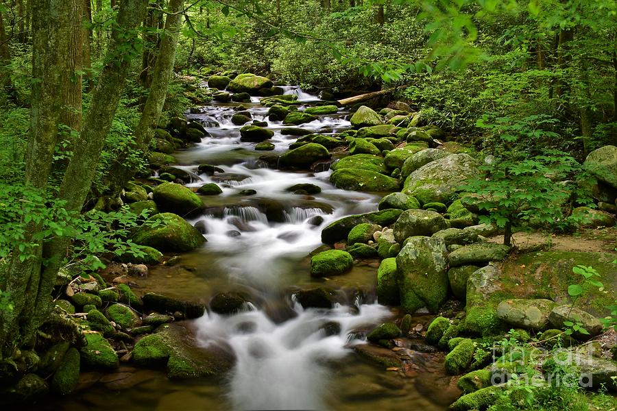 Roaring Fork Stream Photograph by Dennis Nelson - Fine Art America