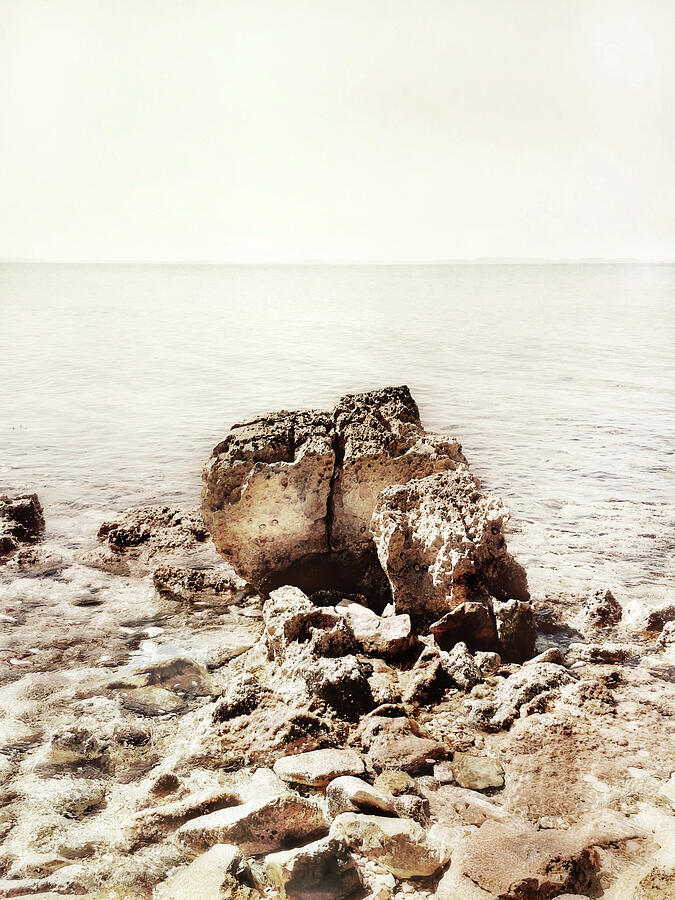 Rocks In The Sea Photograph