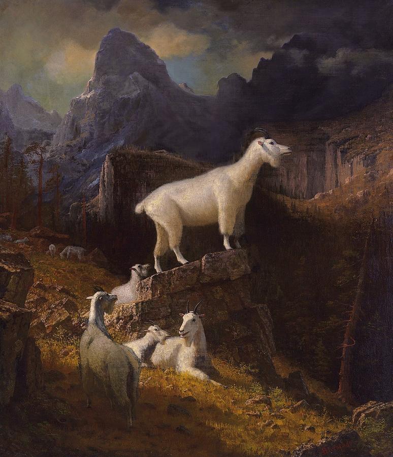 Rocky Mountain Goats #7 Painting by Albert Bierstadt