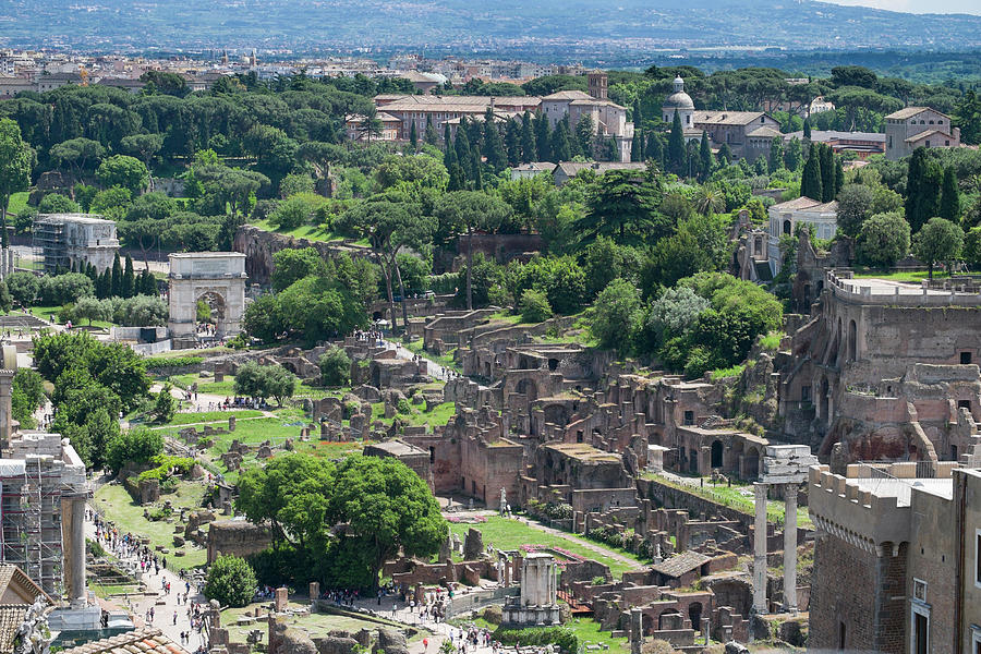 Roman Forum and Palatine Hill #1 Photograph by David L Moore