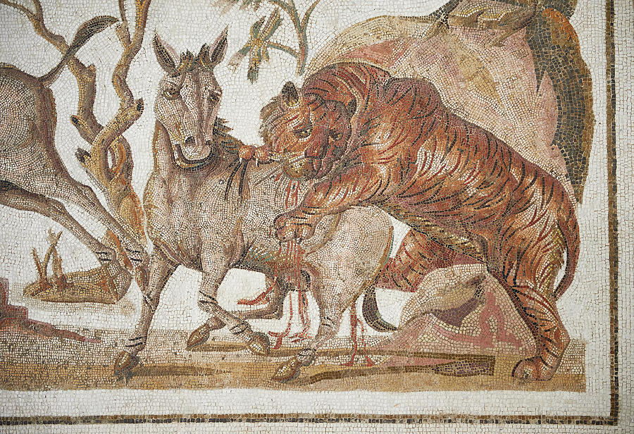 Roman mosaic of a lion attacking two onagers -  El Djem Archaeological Museum Photograph by Paul E Williams