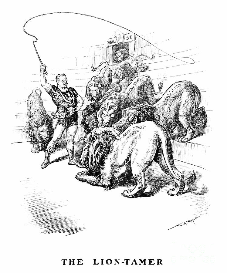 Lion Drawing - Roosevelt Cartoon, 1904 #1 by William Allen Rogers