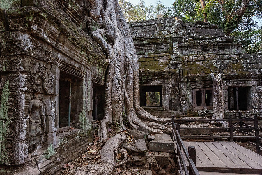 Roots covering the ruin of Ta Prohm temple #1 Photograph by Mikhail Kokhanchikov