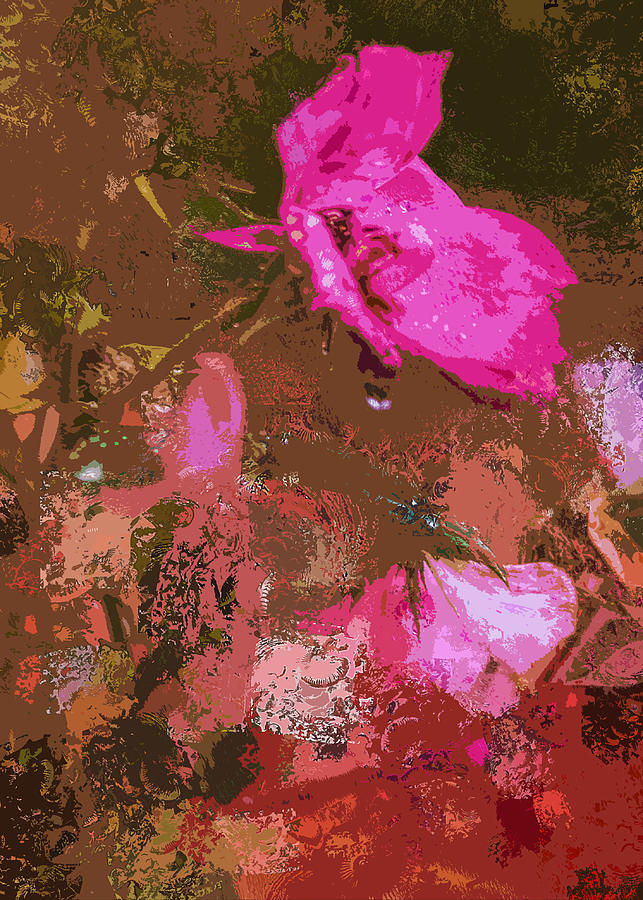 Rose After a Rain Storm #2 Digital Art by Cordia Murphy