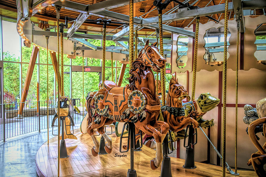 Rose Carousel Horse and Friends #1 Photograph by Barbara Snyder