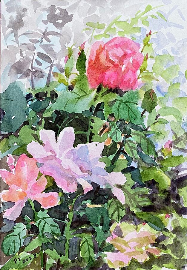 Rose in my garden #1 Painting by Ping Yan