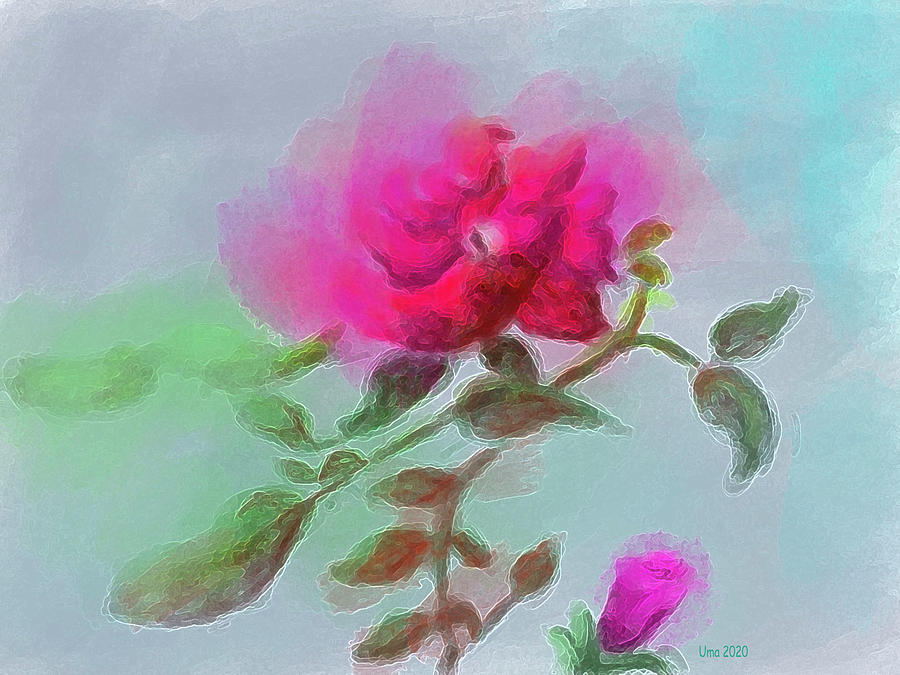 Rose #1 Digital Art by Uma Krishnamoorthy