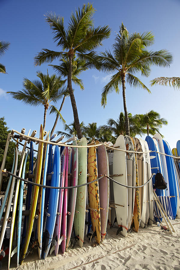 Row of surfboards on beach, Waikiki, Oahu, Hawaii, USA #1 Photograph by Seth K. Hughes