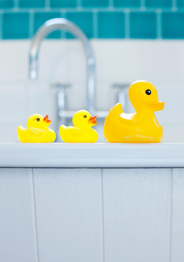 Row of three yellow rubber ducks for bathtime #1 Photograph by Ian Nolan
