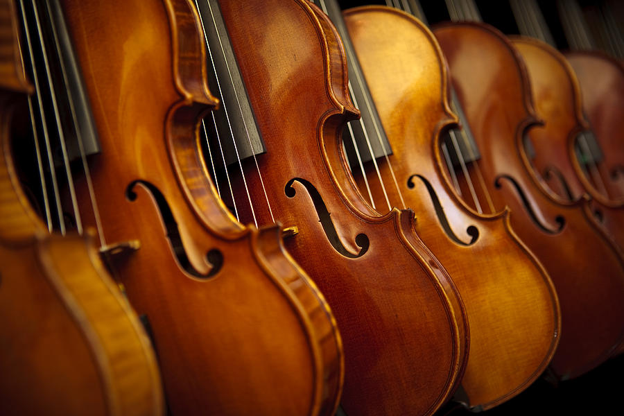 Rows of violins #1 Photograph by Kativ