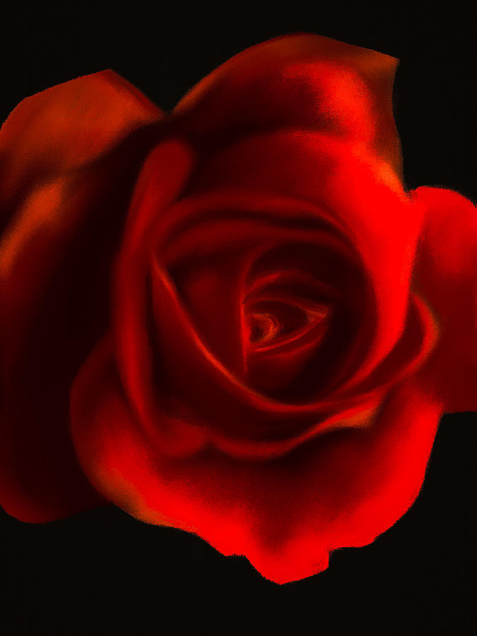 Royal Red Rose #2 Digital Art by Michele Koutris