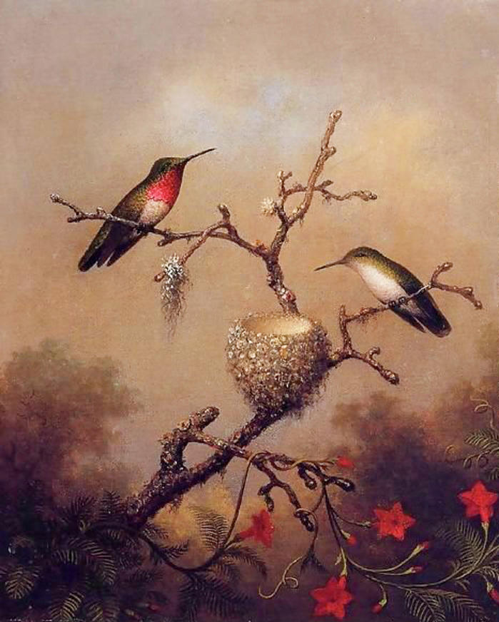 Ruby Throated Hummingbird #1 Painting by Martin Johnson Heade