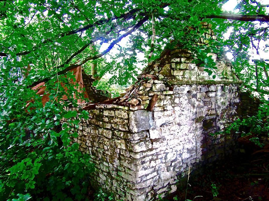 Ruined cottage #1 Photograph by Stephanie Moore