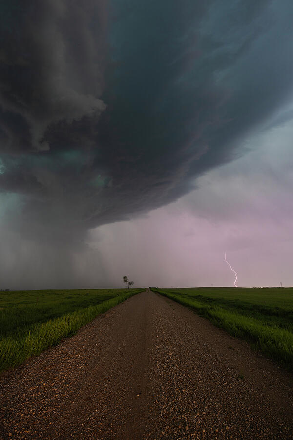 RUN #1 Photograph by Aaron J Groen RUN #1 Photograph by Aaron J Groen