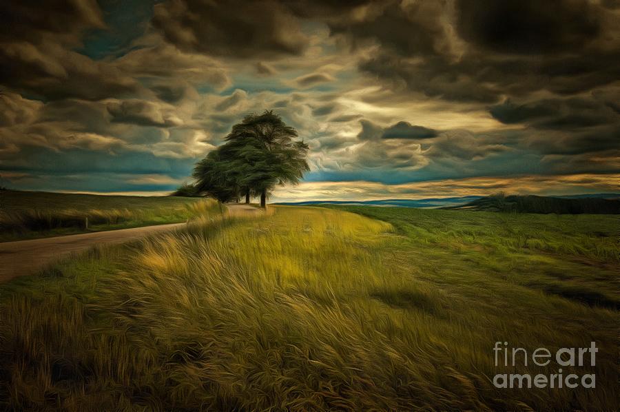 Rural landscape with dramatic sky #1 Digital Art by Michal Boubin