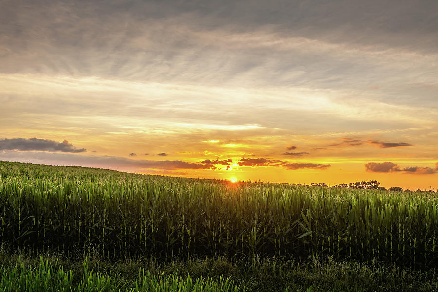 Rural Sunset Photograph