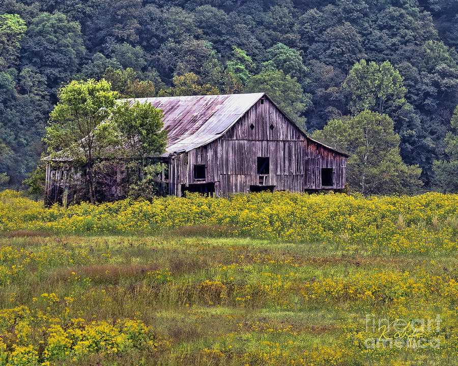 Barn Photograph - Rustic Barn by Rosanna Life Barn Photograph - Rustic Barn by Rosanna Life