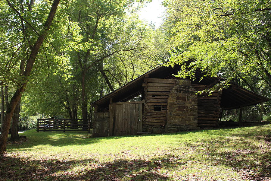 Rustic #1 Photograph by Nieves Egelkraut - Pixels