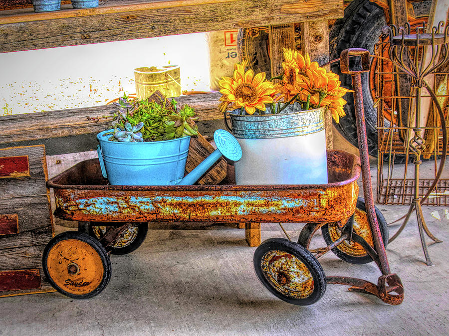 Rusty Red Wagon and Sunflowers   #1 Photograph by Floyd Snyder